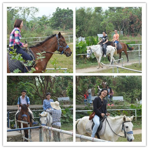 秋景引閑步,山游不知疲—2016納佰川國際部11月團建活動